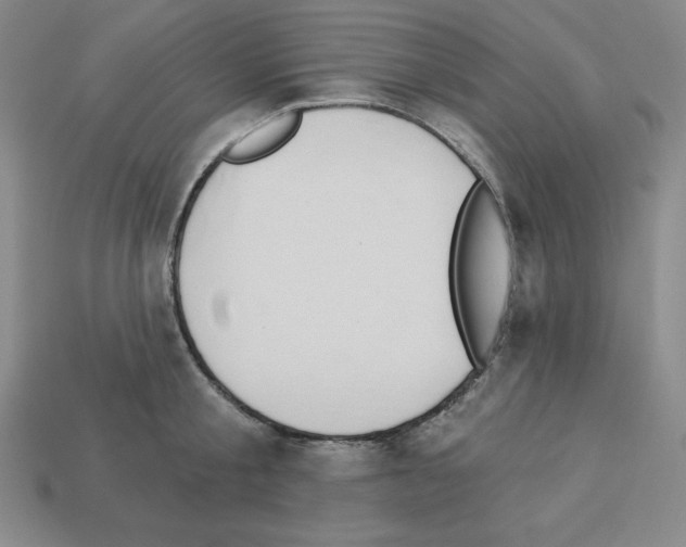 X0000112860805200910021310
