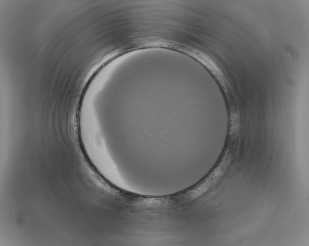 X0000112860806200910021310