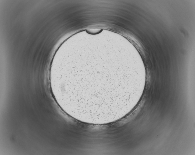 X0000112860808200910021310