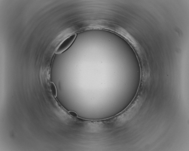 X0000112860809200910021310