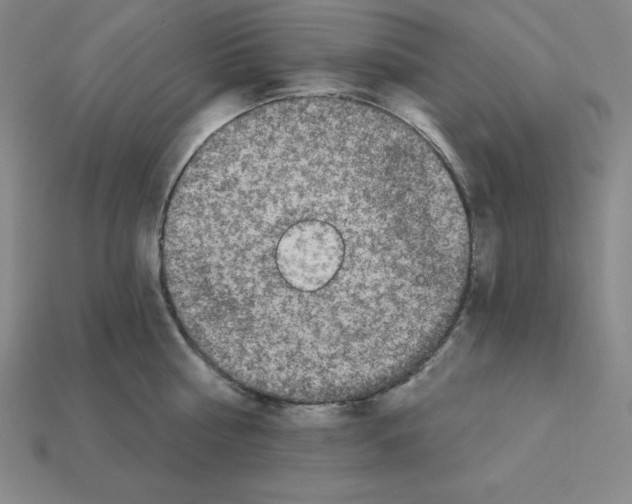 X0000112860810200910021310