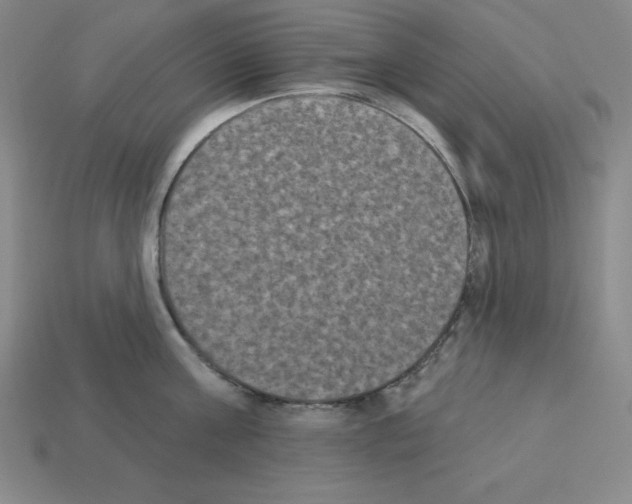 X0000112860811200910021310