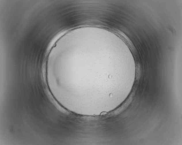 X0000112860812200910021310