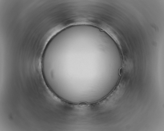 X0000112860813200910021310