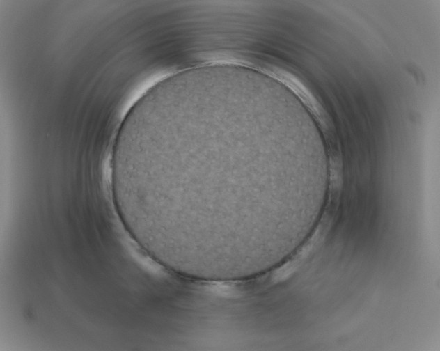 X0000112860814200910021310