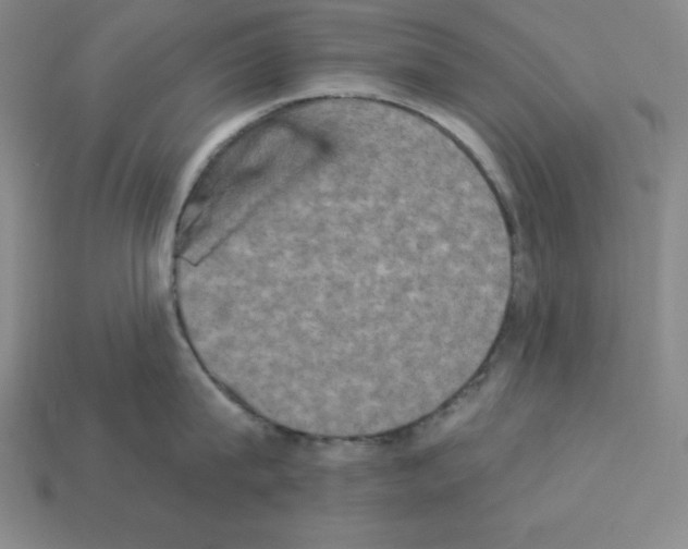 X0000112860815200910021310