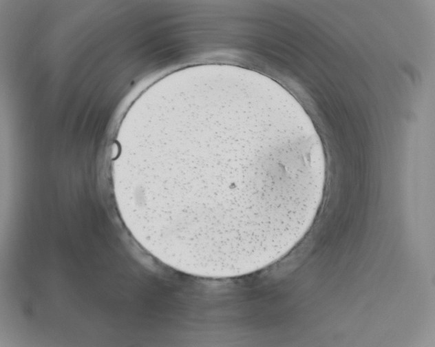X0000112860816200910021310