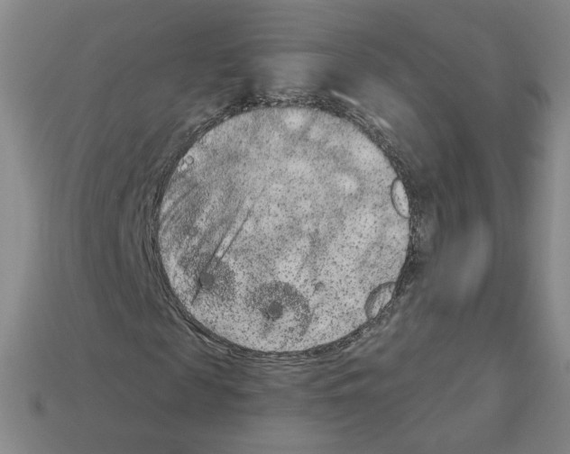 X0000112860817200910021309