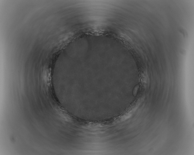 X0000112860818200910021309