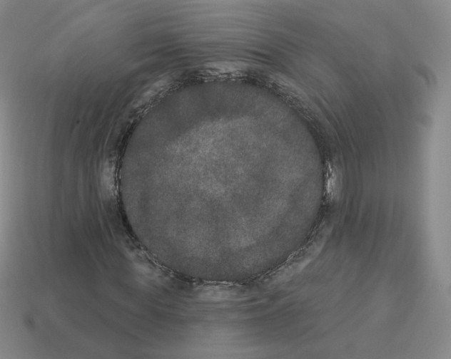 X0000112860819200910021309