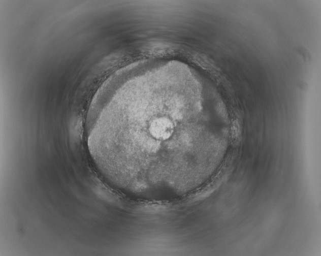 X0000112860820200910021310
