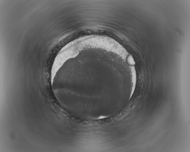 X0000112860822200910021310
