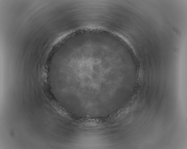 X0000112860823200910021310