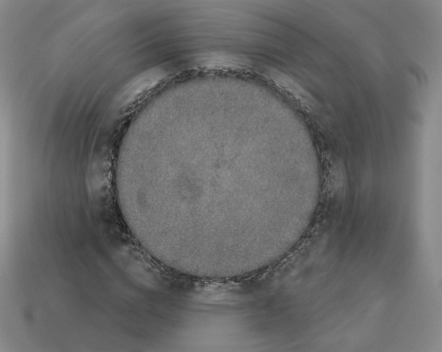 X0000112860824200910021310