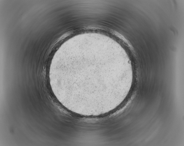 X0000112860825200910021310