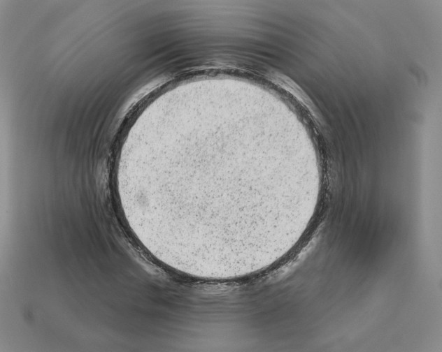X0000112860826200910021310