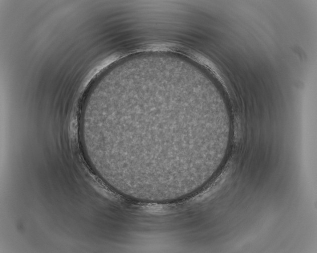 X0000112860827200910021310
