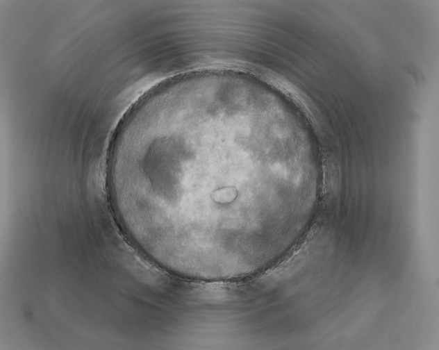 X0000112860828200910021310