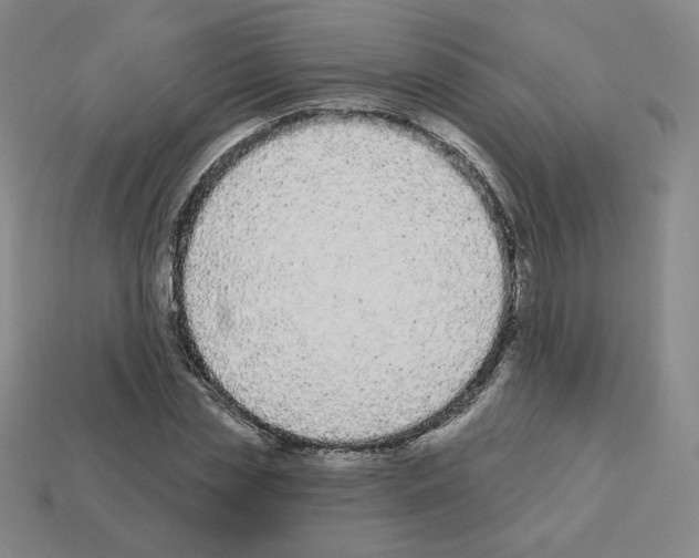X0000112860829200910021310