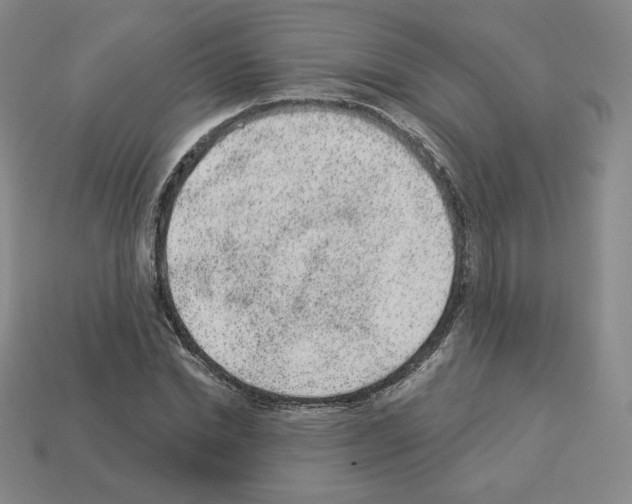 X0000112860830200910021310