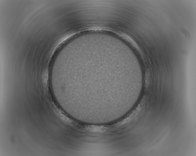 X0000112860831200910021310