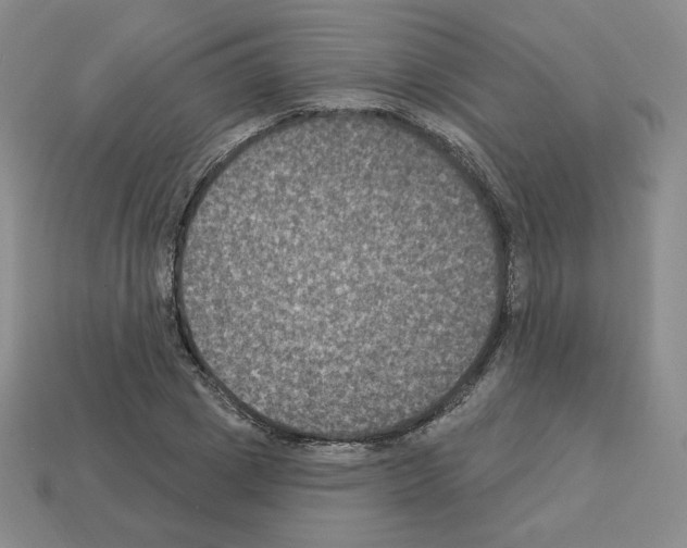 X0000112860833200910021310
