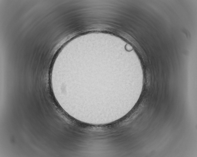 X0000112860834200910021310
