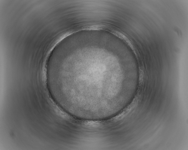 X0000112860835200910021310