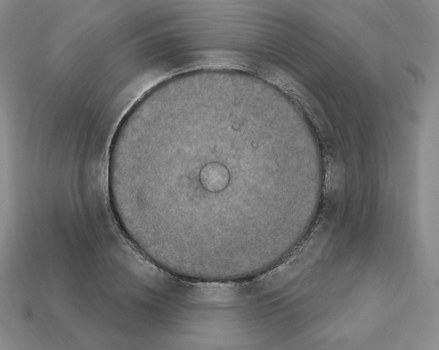 X0000112860836200910021310