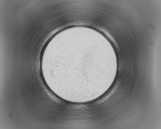 X0000112860837200910021310