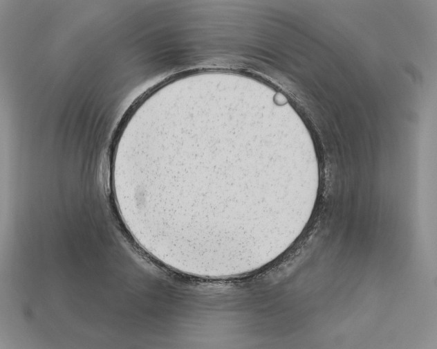 X0000112860838200910021310