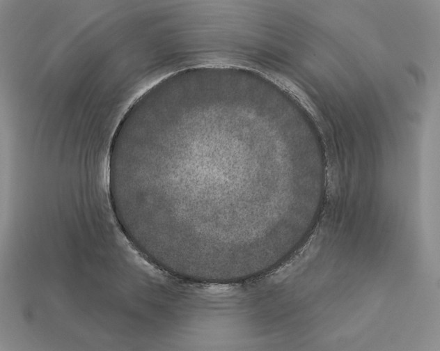 X0000112860839200910021310
