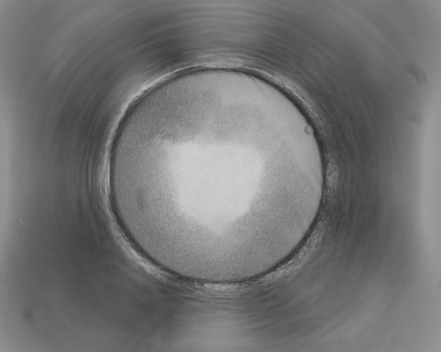 X0000112860840200910021310