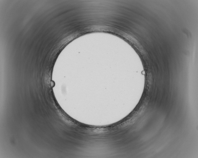 X0000112860841200910021310