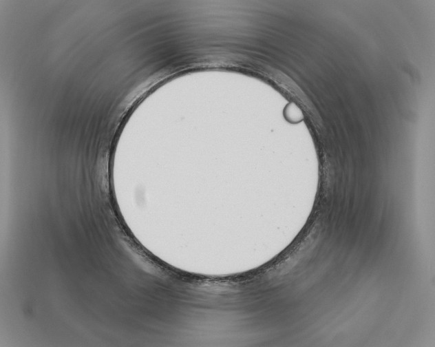 X0000112860842200910021310