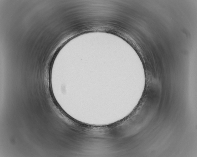 X0000112860843200910021310