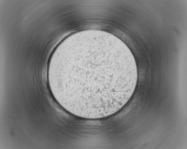 X0000112860844200910021310