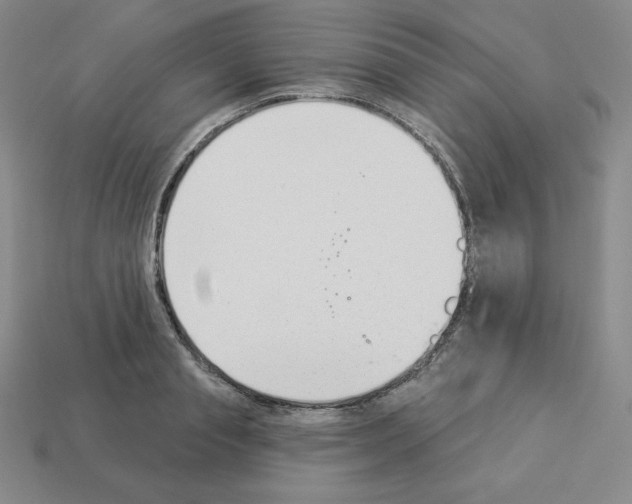 X0000112860845200910021310