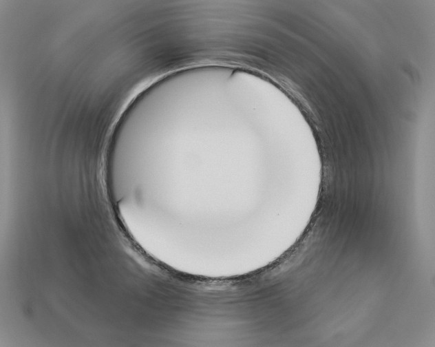 X0000112860846200910021310