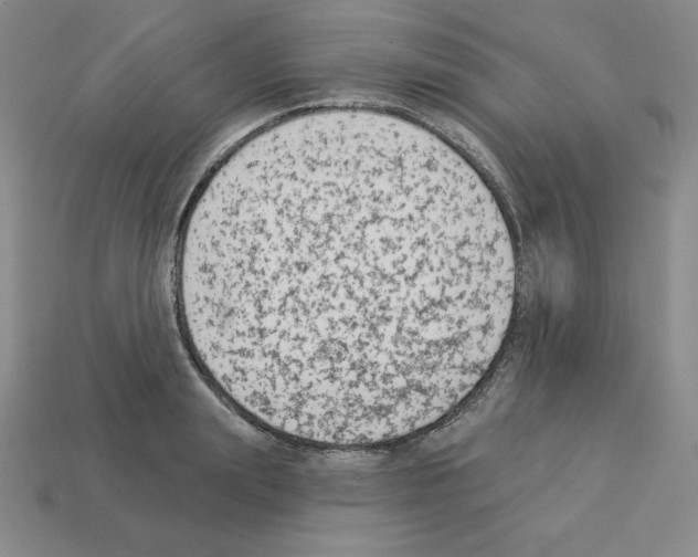 X0000112860847200910021310