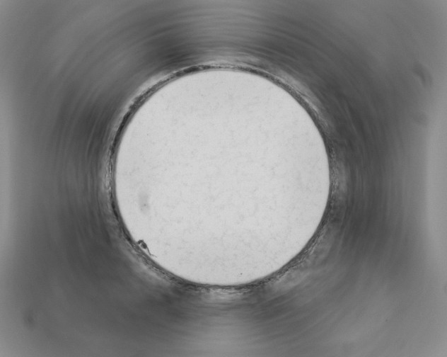 X0000112860848200910021310