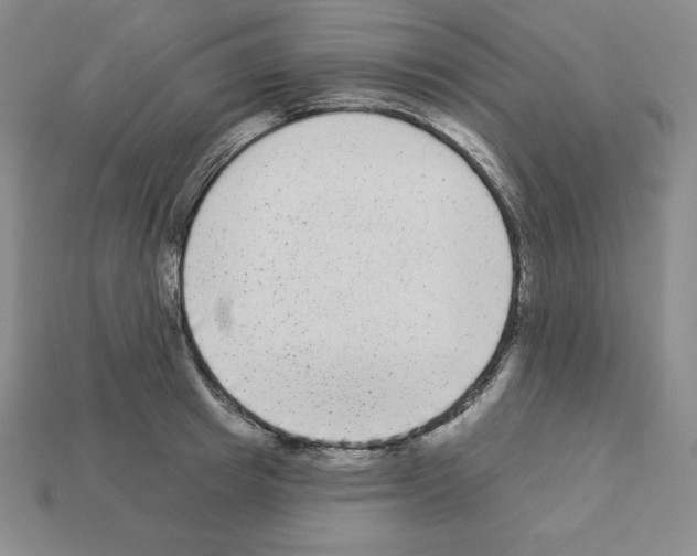 X0000112860849200910021310