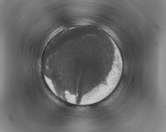 X0000112860850200910021310