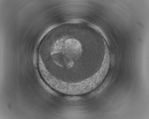 X0000112860851200910021310