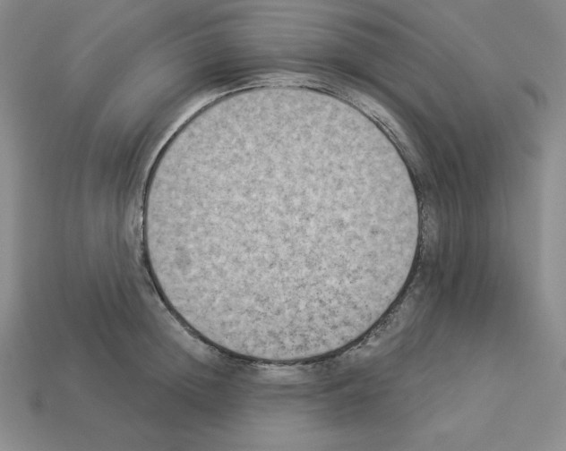 X0000112860852200910021310