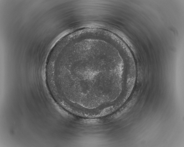 X0000112860853200910021310
