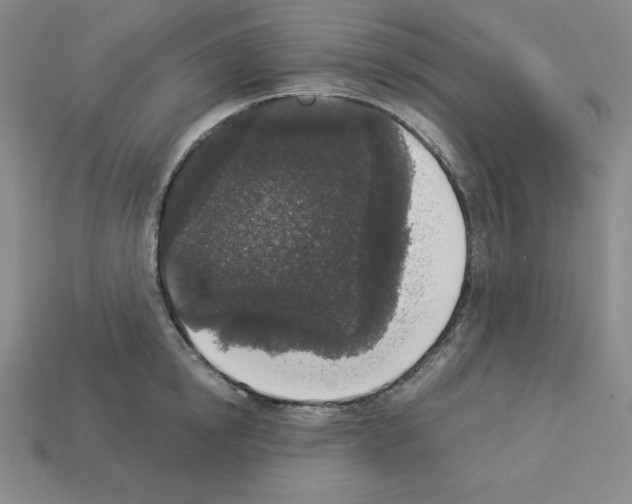 X0000112860854200910021310