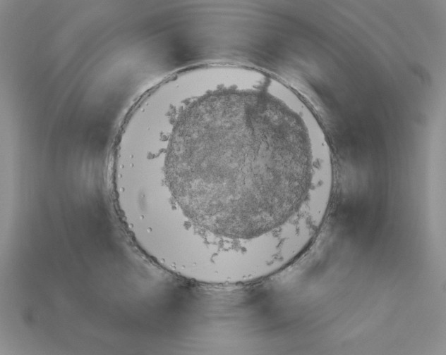 X0000112860856200910021310
