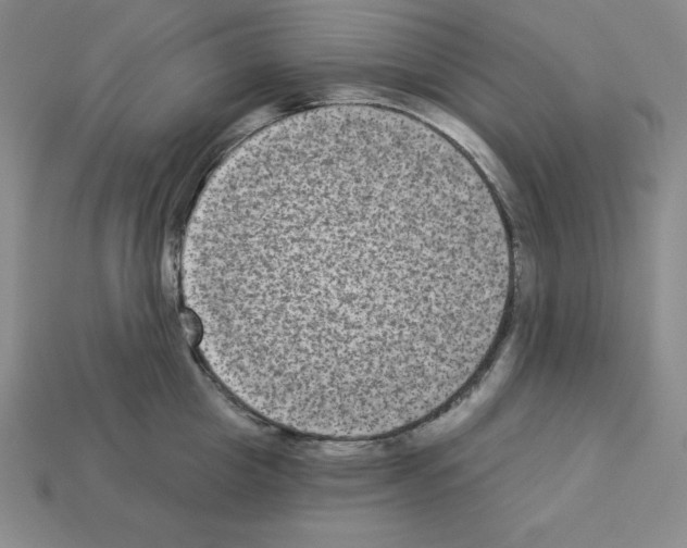 X0000112860857200910021310