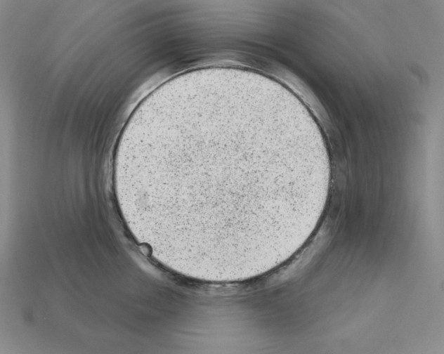 X0000112860858200910021310